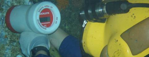 Multibeam echosounder